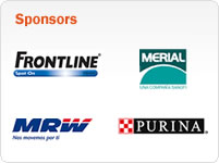 platinum sponsors
